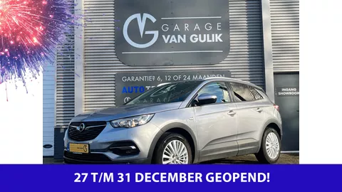 Opel Grandland X 1.2 Turbo 131PK Clima,Cruise,AppleCarPlay,Stoel+Stuurverwarming,PdcV+A,Isofix,Dakrail,18"LMV,Stuurbed.,GetintGlas